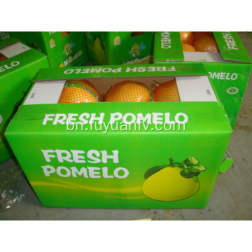 গরম বিক্রয় সুস্বাদু তাজা pomelo